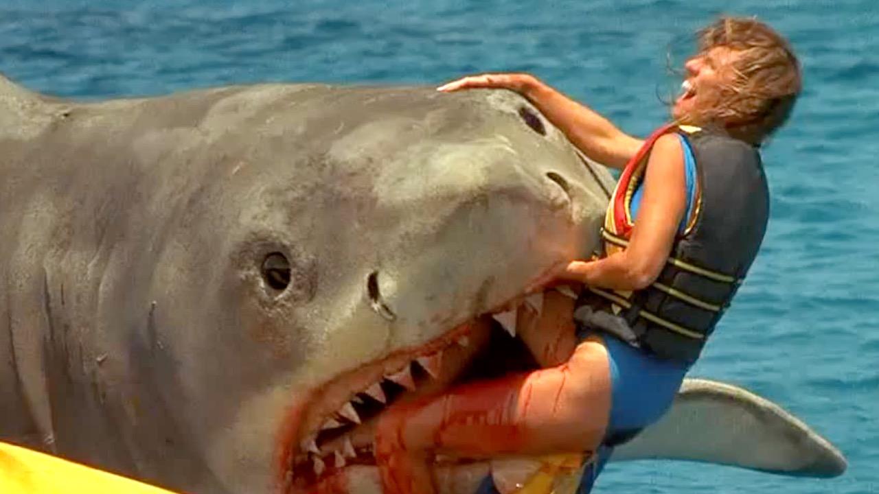 scary sharks attacks