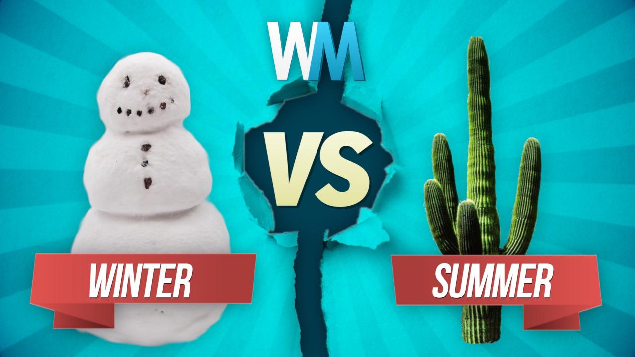 winter-vs-summer-which-is-better-watchmojo