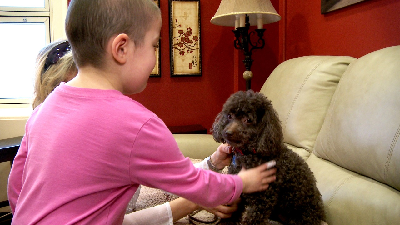 the-benefits-of-pet-therapy-on-hospitalized-children-articles-on